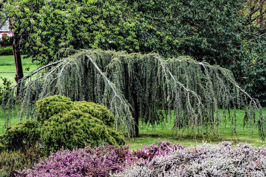 Khảo Sát Hiện Trạng Trước Khi Thi Công Cảnh Quan