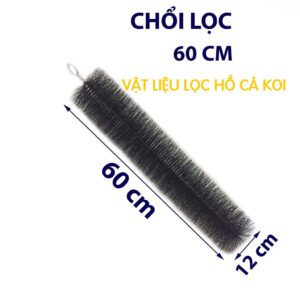 Dịch Vụ Thi Công Cảnh Quan Chuyên Nghiệp Và Uy Tín