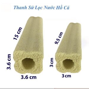 Dịch Vụ Thi Công Cảnh Quan Chuyên Nghiệp Và Uy Tín