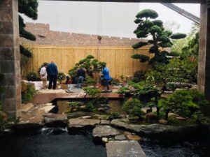 Thi Công Cảnh Quan Kiểu Nhật – Giải Pháp Hoàn Hảo Cho Không Gian Sống Thanh Tịnh