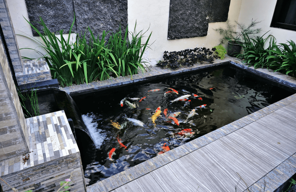 24 Ý Tưởng Hồ Cá Koi Tuyệt Đẹp 13 24 Ý Tưởng Hồ Cá Koi Tuyệt Đẹp - Mỹ Thuật Nam Thắng