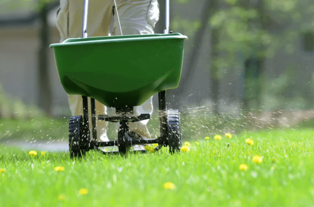 5 Mẹo Giúp Cỏ Sân Vườn Xanh Mướt Như Chuyên Gia Vào Mùa Xuân - Mỹ Thuật Nam Thắng