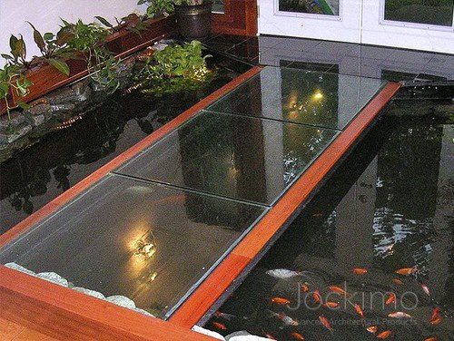 24 Ý Tưởng Hồ Cá Koi Tuyệt Đẹp 3 24 Ý Tưởng Hồ Cá Koi Tuyệt Đẹp - Mỹ Thuật Nam Thắng