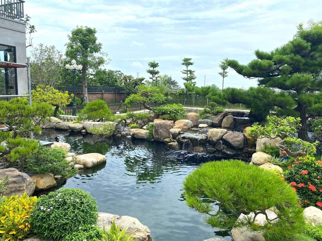 Thiết Kế Cảnh Quan Sân Vườn Kiểu Nhật – Không Gian Thanh Tịnh Và Hài Hòa