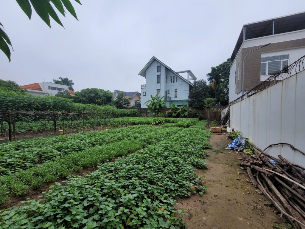 Dự Án Hóng Kafe: Hành Trình Từ Ý Tưởng Đến Hiện Thực